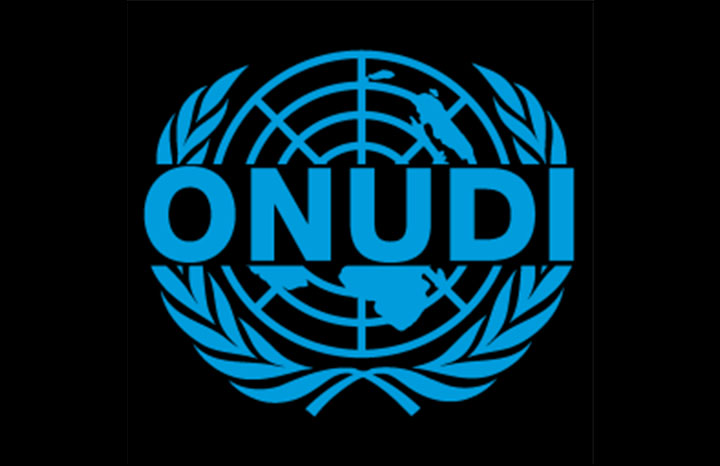 Proyecta ONUDI nuevos programas de cooperación