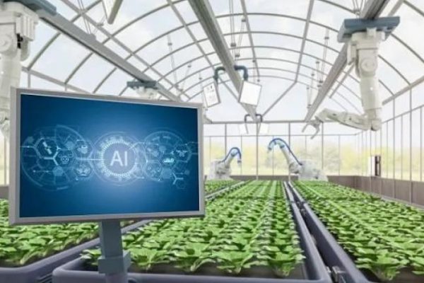 Científicos chinos crean un sistema de IA para acelerar la selección de plantas