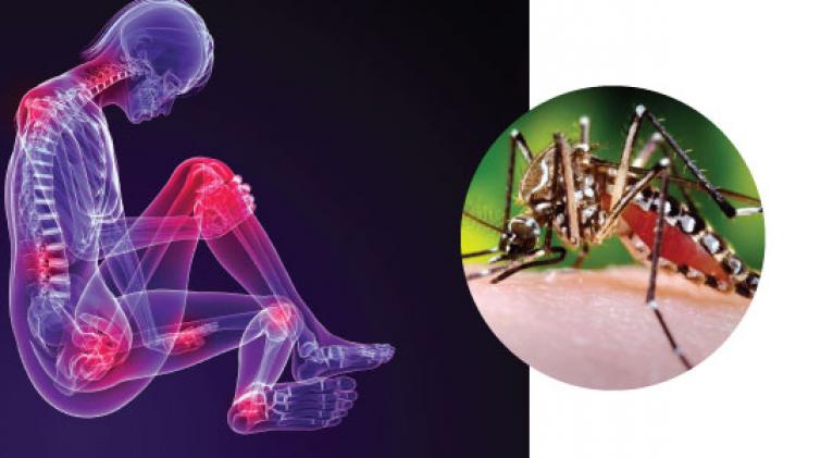 Difunde IPK protocolo nacional para manejo del Chikungunya