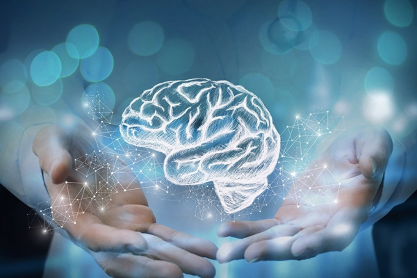 Evaluarán en Camagüey especialidad de Neurología