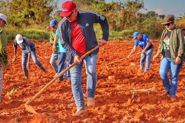 Participa Díaz-Canel en jornada nacional de trabajo voluntario
