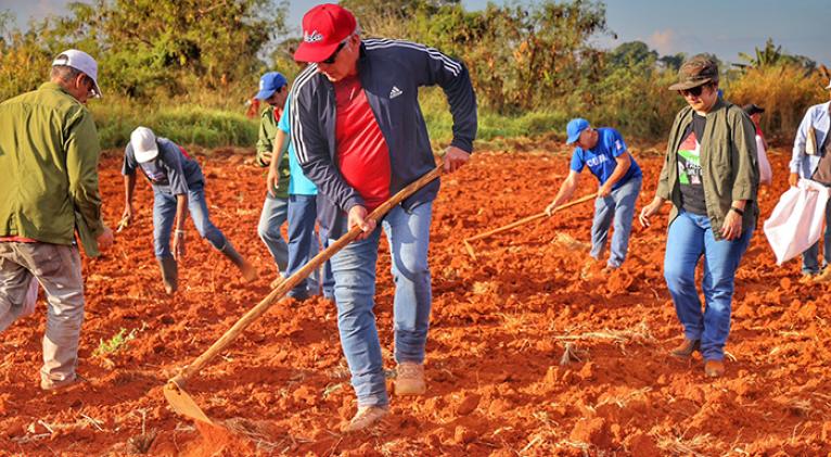 Participa Díaz-Canel en jornada nacional de trabajo voluntario
