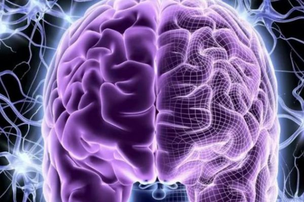 La genialidad del cerebro humano inspira a la IA