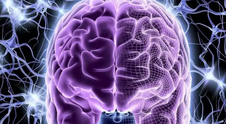 La genialidad del cerebro humano inspira a la IA