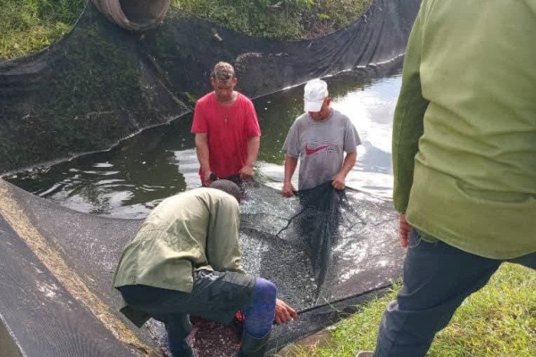 Esfuerzo y dedicación en Minas aseguran eficiencia en producción pesquera