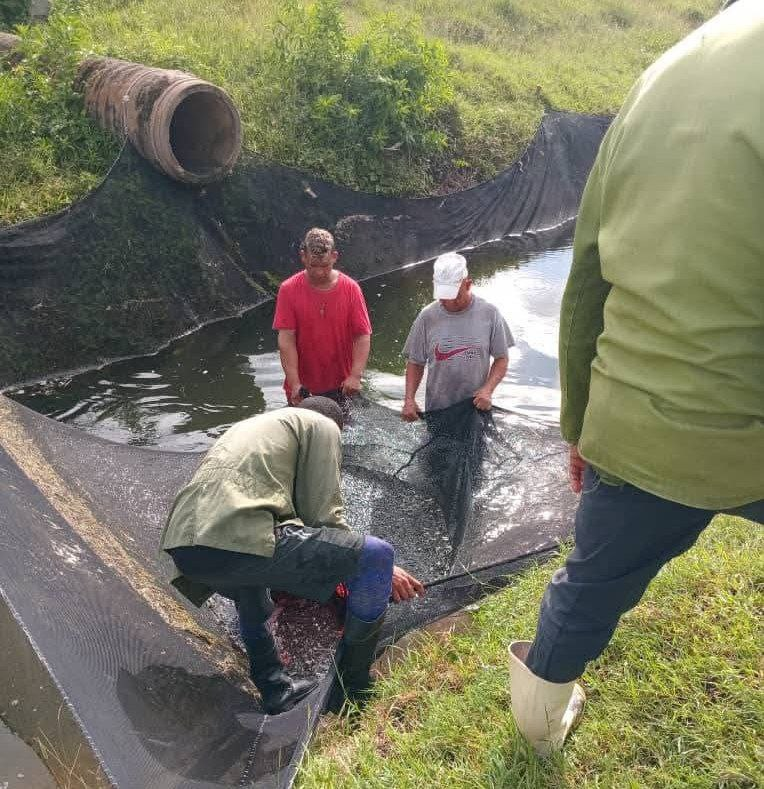 Esfuerzo y dedicación en Minas aseguran eficiencia en producción pesquera