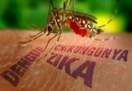 Provincia de Camagüey enfrenta incremento significativo de infecciones por dengue y chikungunya