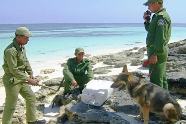 Los éxitos de Cuba en la lucha antidrogas son ignorados por Trump