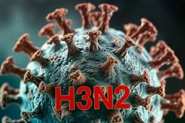 Detectados en Latinoamérica casos de gripe A(H3N2) subclado K