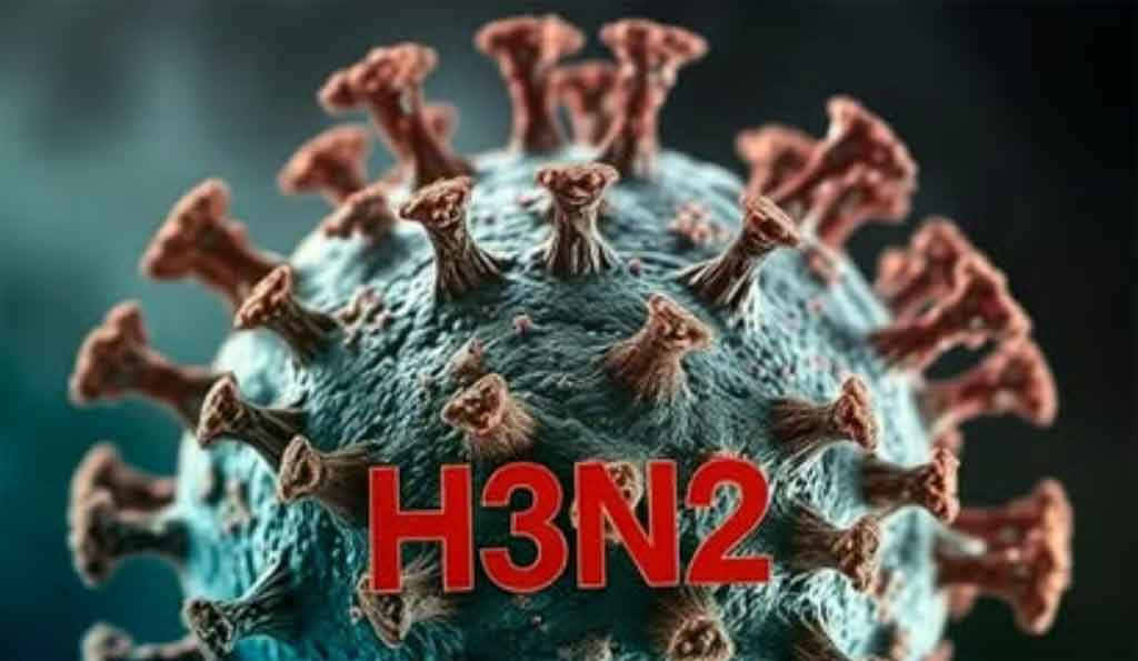 Detectados en Latinoamérica casos de gripe A(H3N2) subclado K