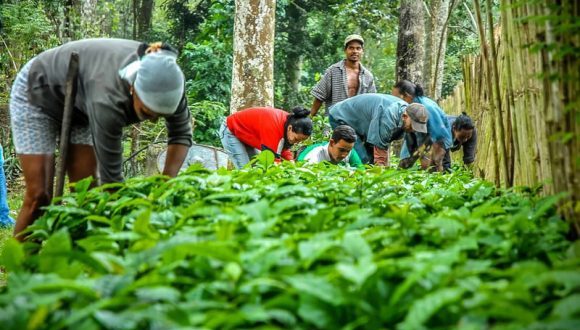Impulsan en Holguín prácticas agroecológicas