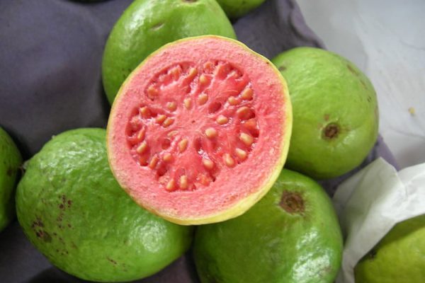 Lista entidad camagüeyana para la exportación de productos del agrícolas