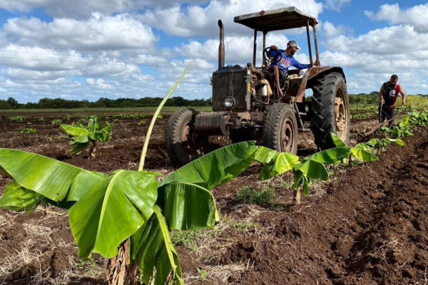Camagüey: intenso trabajo definió Programa de Gobierno en 2025 (+ Fotos)