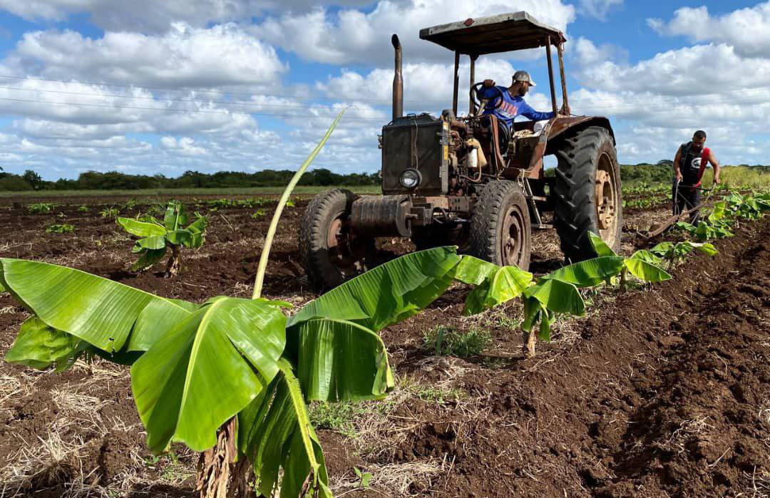 Camagüey: intenso trabajo definió Programa de Gobierno en 2025 (+ Fotos)