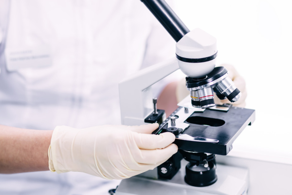 Microrobots: máquinas que sienten, piensan y nadan solas