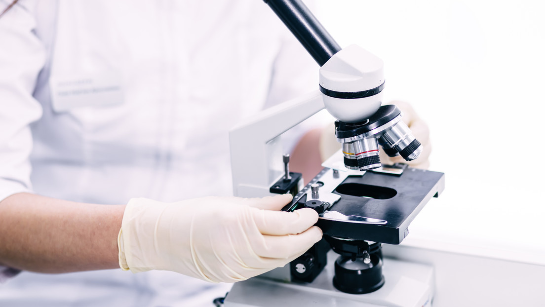 Microrobots: máquinas que sienten, piensan y nadan solas