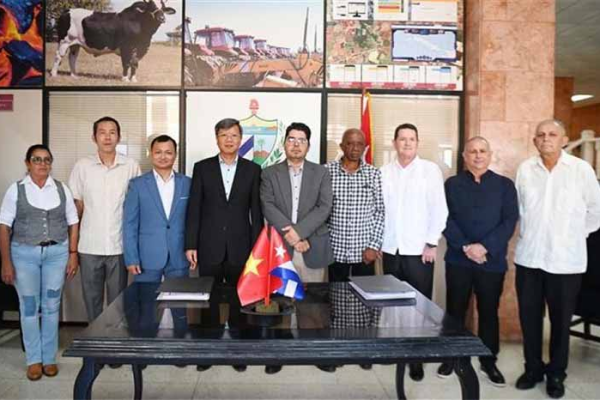 Invierte Vietnam en cultivos de ciclo corto en Cuba