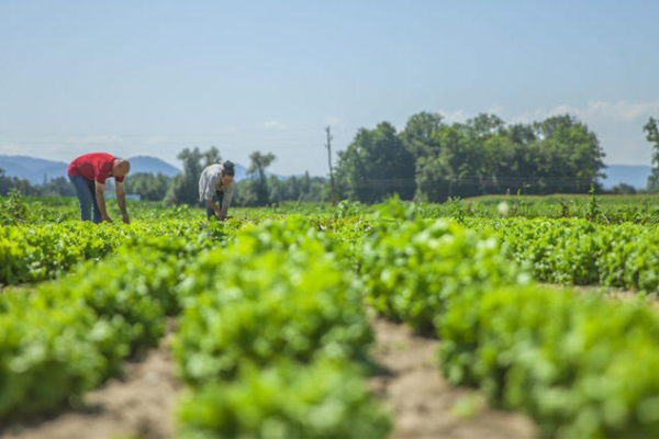 La mejor celebración: produciendo