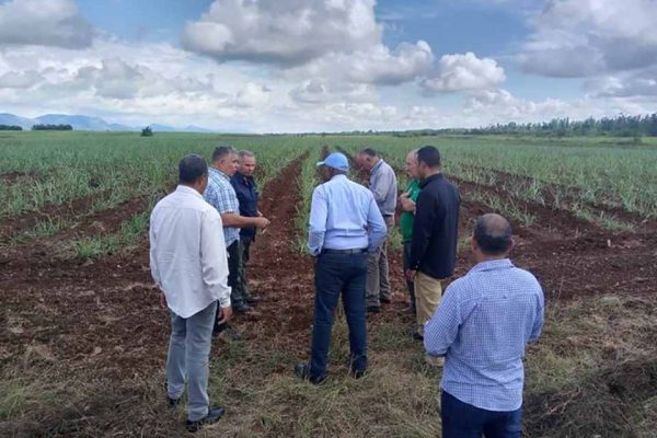 Autoridades cubanas visitan objetivos económicos en Artemisa