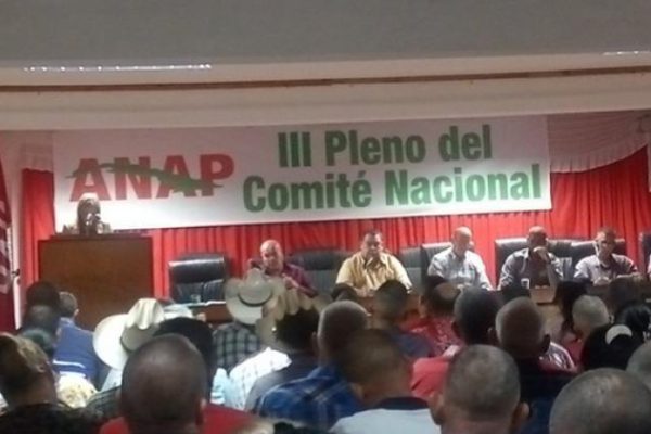 Asociación Nacional de Agricultores Pequeños por fortalecer sus estructuras para impulsar desarrollo económico-productivo