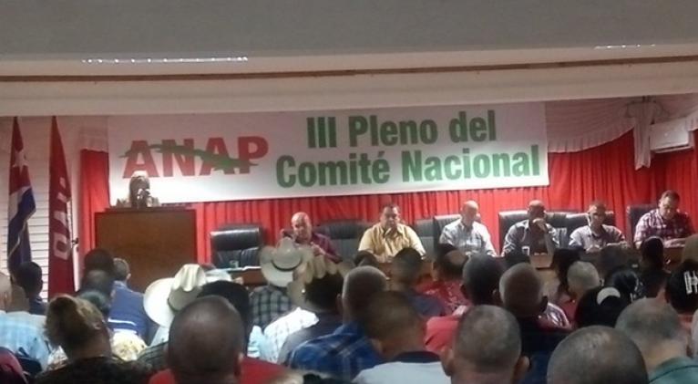 Asociación Nacional de Agricultores Pequeños por fortalecer sus estructuras para impulsar desarrollo económico-productivo