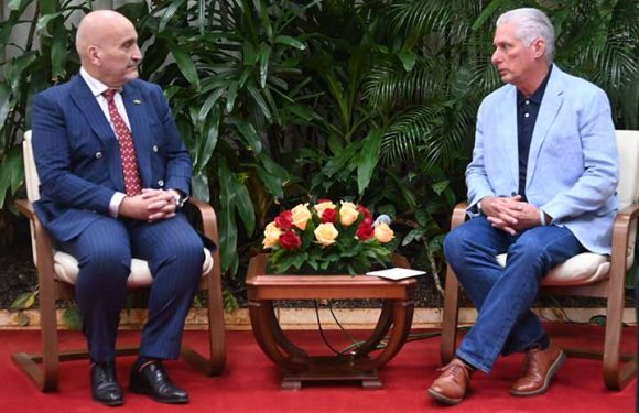 Díaz-Canel conversó con presidente de gestores españoles