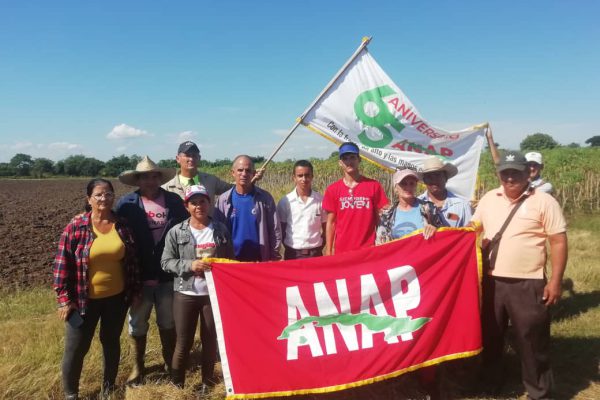 Reconocen a campesinos y unidades productivas destacadas (+ Fotos)