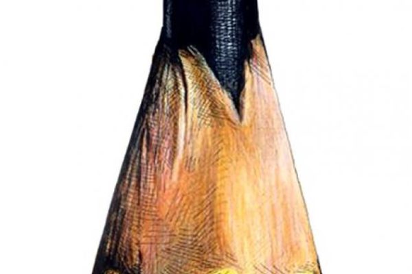 Caricaturistas de Cuba y Lituania galardonados en Humor Gráfico