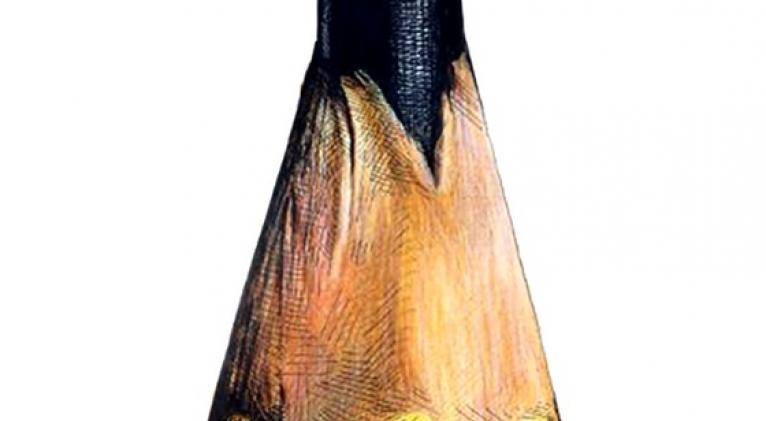 Caricaturistas de Cuba y Lituania galardonados en Humor Gráfico