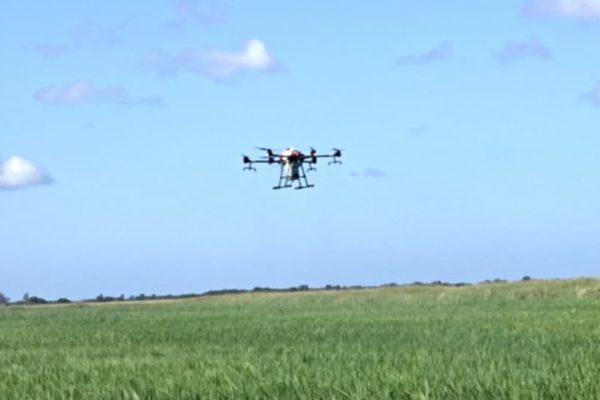 Empresa Arrocera Ruta Invasora utiliza drones en el riego de abono (+ Fotos)