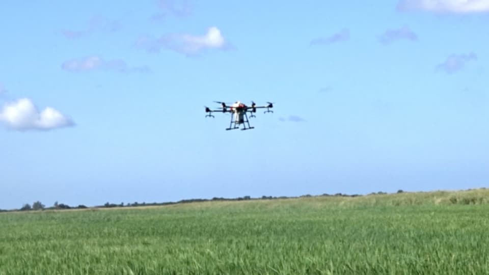 Empresa Arrocera Ruta Invasora utiliza drones en el riego de abono (+ Fotos)