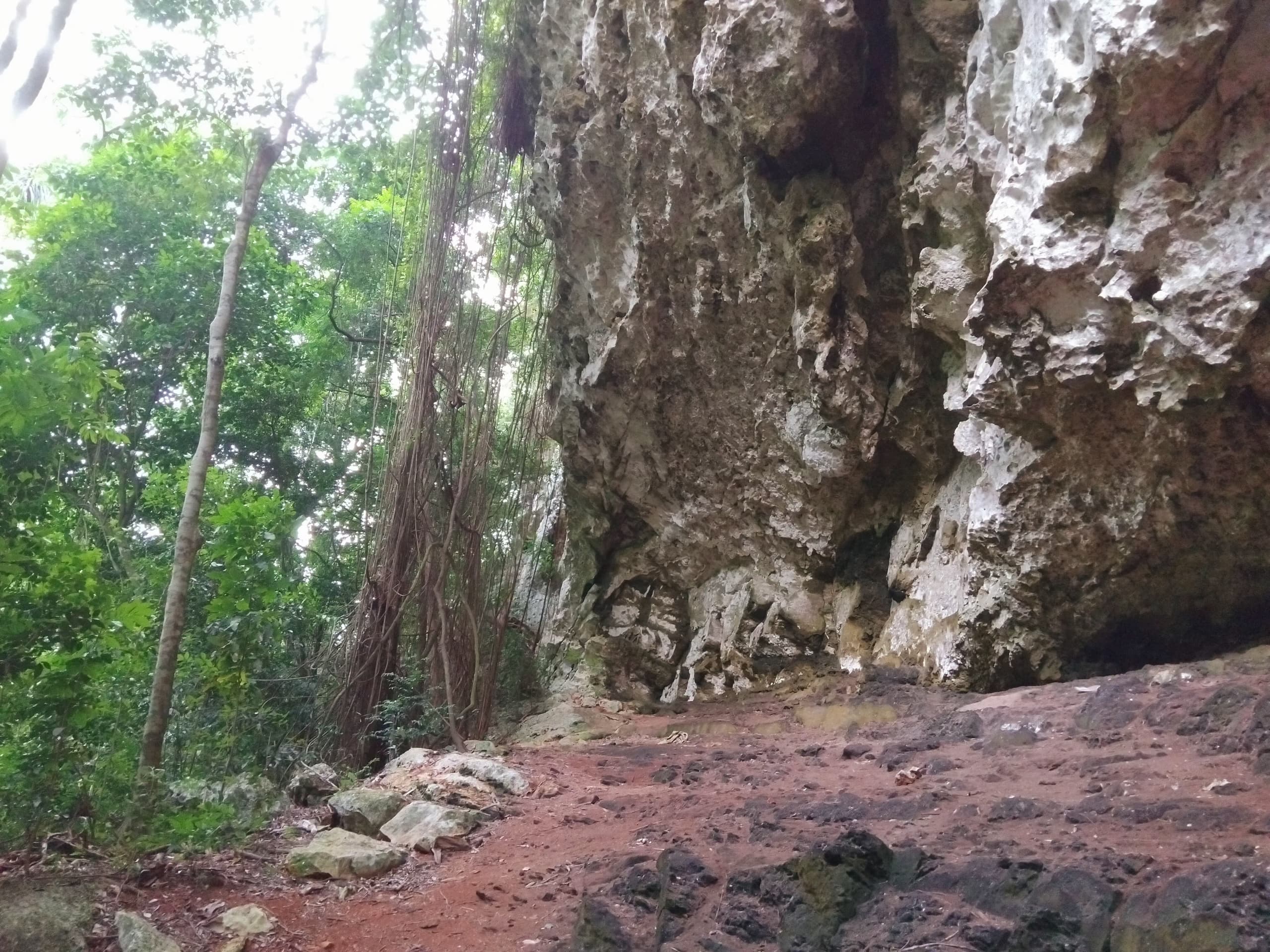 La riqueza natural de la Sierra de Cubitas (+ Fotos)