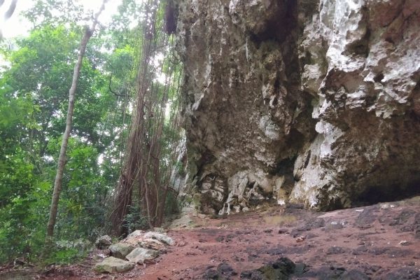 La riqueza natural de la Sierra de Cubitas (+ Fotos)