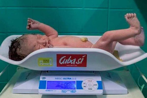 Florida cerró el año con una tasa de mortalidad infantil poco favorable