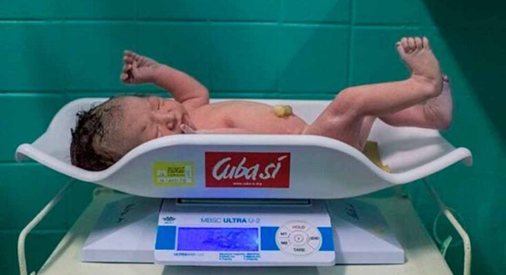 Florida cerró el año con una tasa de mortalidad infantil poco favorable