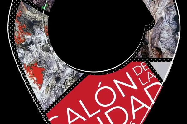 Conferencias, talleres y exposiciones marcarán 36 Salón de la Ciudad en Camagüey (+ Fotos)