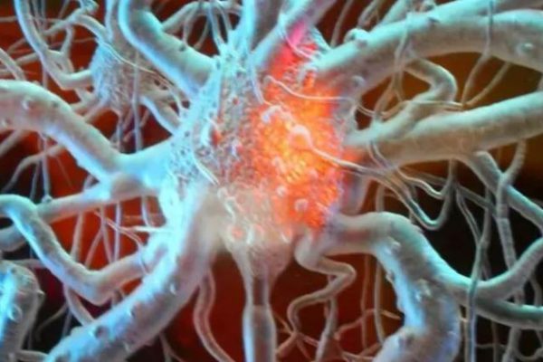 Los tumores son capaces de regenerar los nervios y la médula espinal