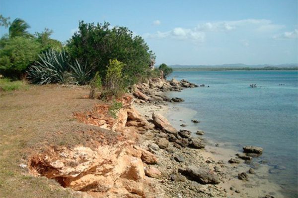 Reconocen en Camagüey avances del proyecto Resiliencia costera al cambio climático