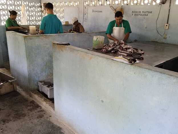 Minas se beneficia con Sabor Caribeño, un proyecto que mejora la nutrición local