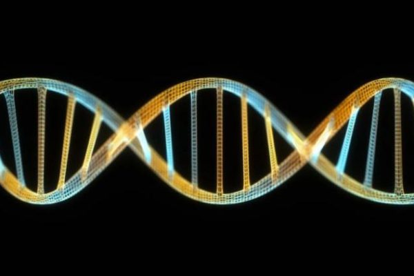 Presentan AlphaGenome, una IA para descifrar el genoma humano Descubre DW