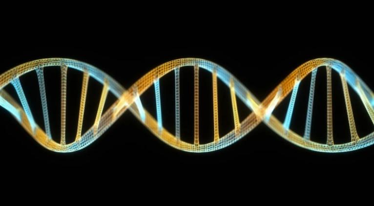 Presentan AlphaGenome, una IA para descifrar el genoma humano Descubre DW