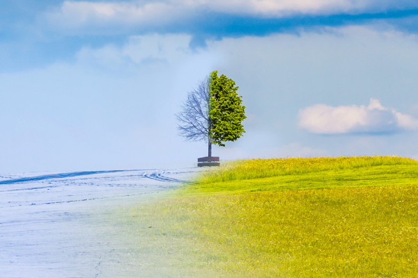Científicos dan su pronóstico sobre el tiempo que hará en 2026
