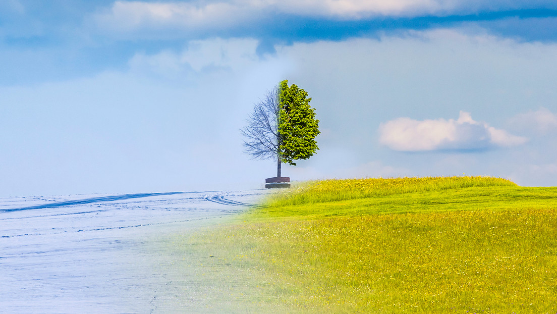Científicos dan su pronóstico sobre el tiempo que hará en 2026