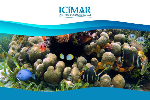 Organizan Fórum sobre ciencias marinas