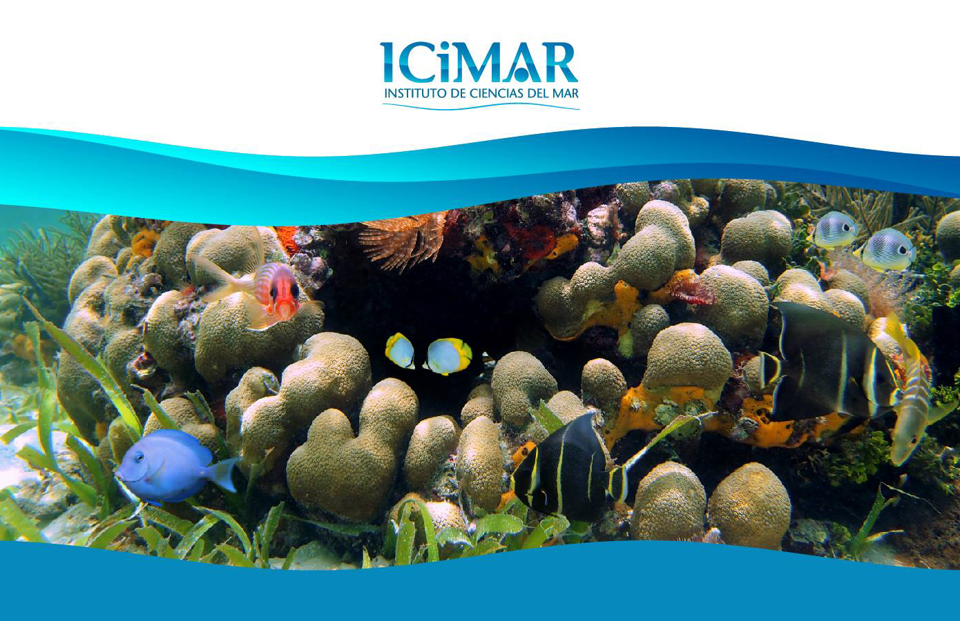 Organizan Fórum sobre ciencias marinas