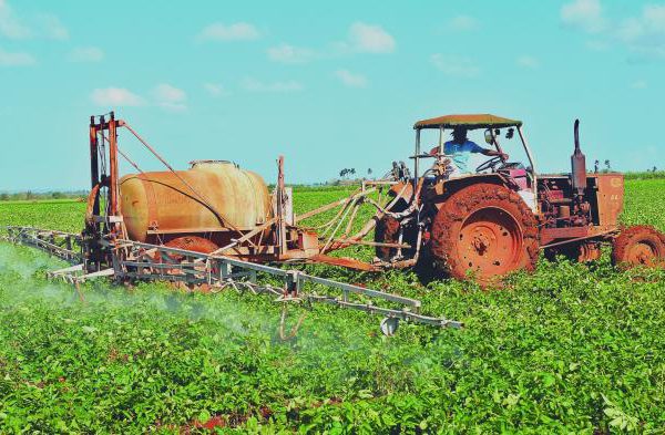 Fortalecen técnicas agroecológicas soberanía alimentaria