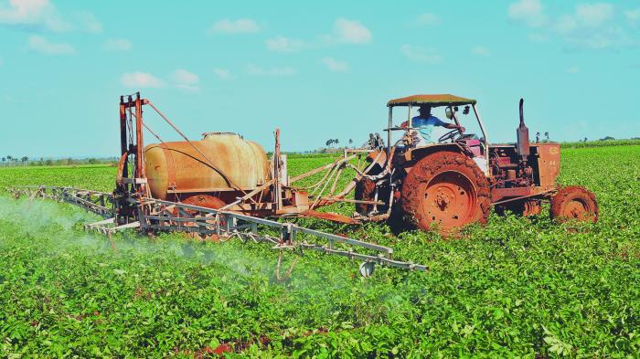 Fortalecen técnicas agroecológicas soberanía alimentaria