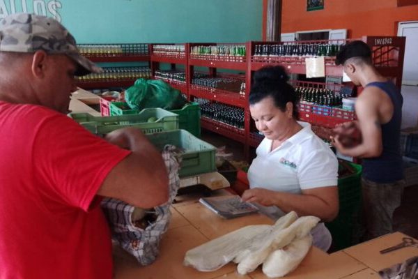 Mercado Frutiflorida, una opción imprescindible para Florida