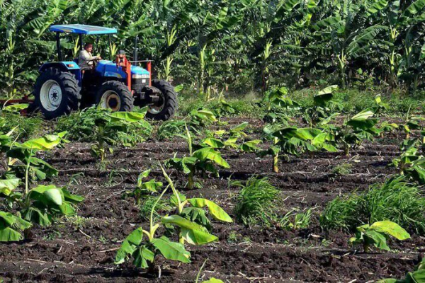 Desarrollo sostenible en la mira: estrategias de Camagüey para fortalecer su economía