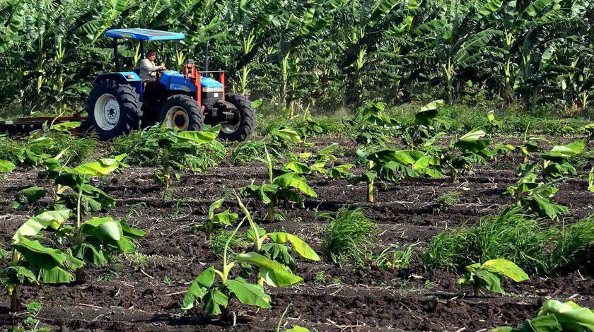Desarrollo sostenible en la mira: estrategias de Camagüey para fortalecer su economía